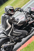 Advanced Group Silver_Grey Bikes
